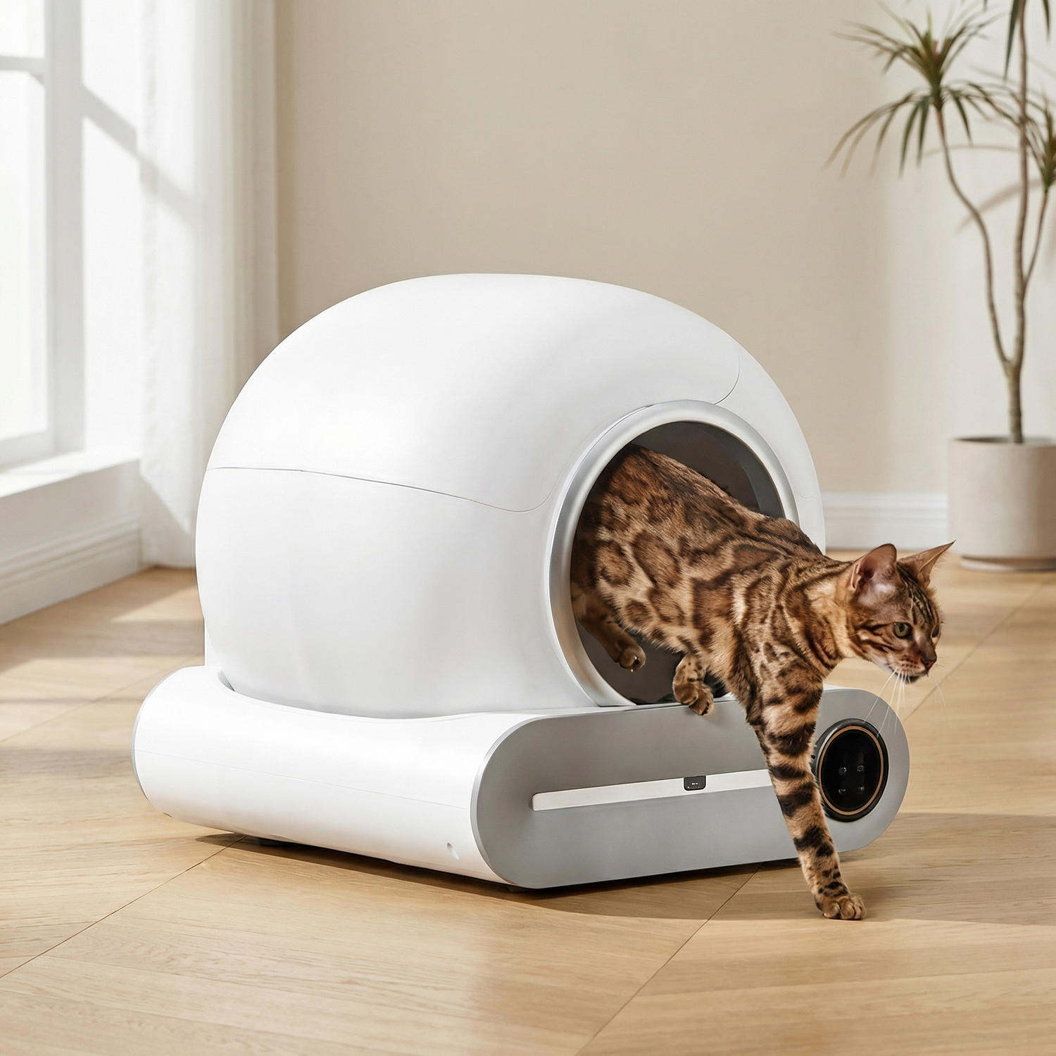 Litières & Accessoires