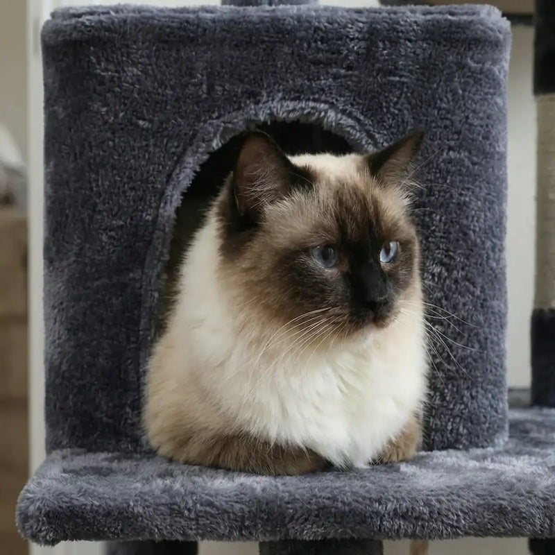 Arbre à Chat 143 cm XL – Stable avec Hamac & Niche (2 à 3 Chats)