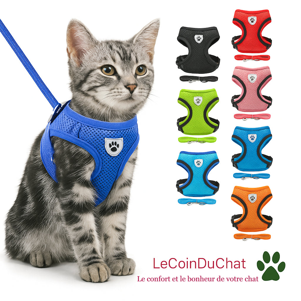 Harnais Chat - LeCoinDuChat