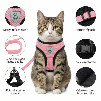 Harnais chat réglable et respirant + laisse offerte – Anti-fugue & confort