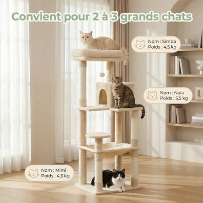 Arbre à Chat 143 cm XL – Stable avec Hamac & Niche (2 à 3 Chats)