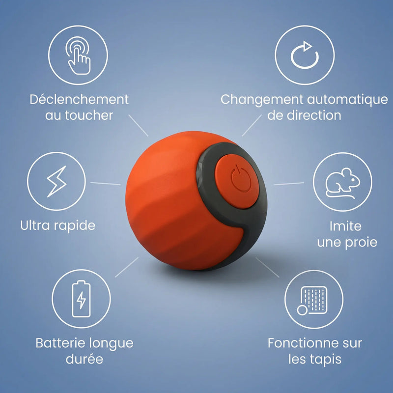 Balle Interactive Chat – Mouvement Intelligent