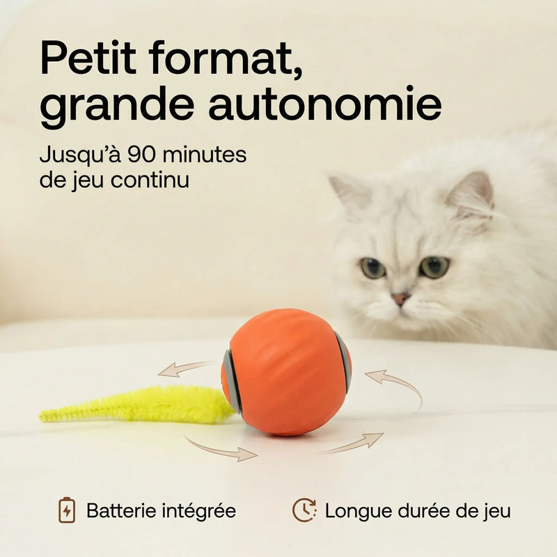 Balle Interactive Chat – Mouvement Intelligent