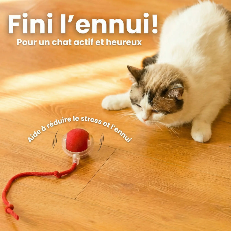 Balle Interactive Chat Rechargeable – Mouvement Intelligent & Queue Imitation Proie