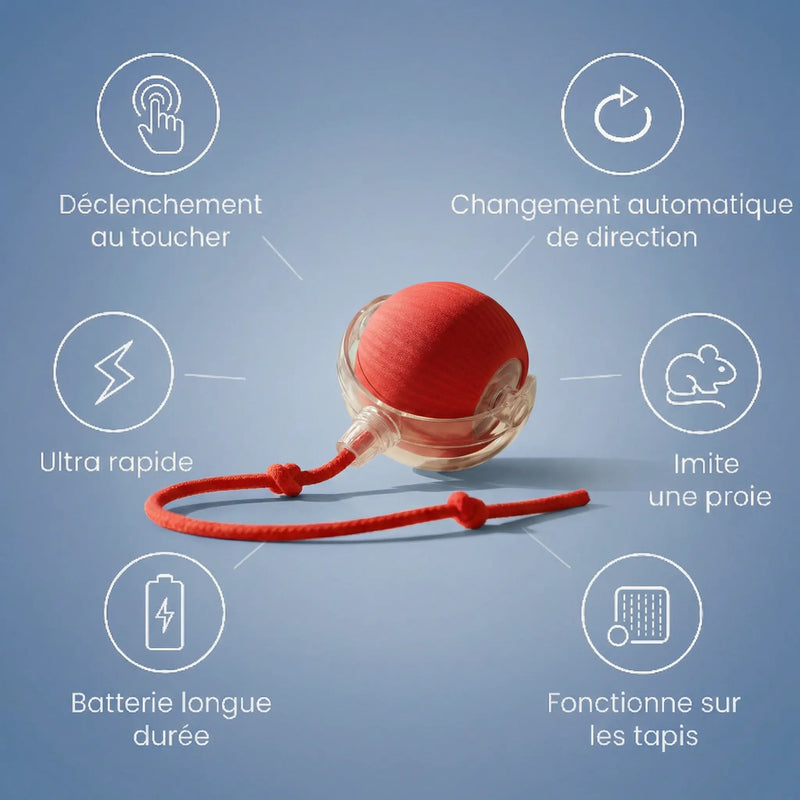 Balle Interactive Chat Rechargeable – Mouvement Intelligent & Queue Imitation Proie