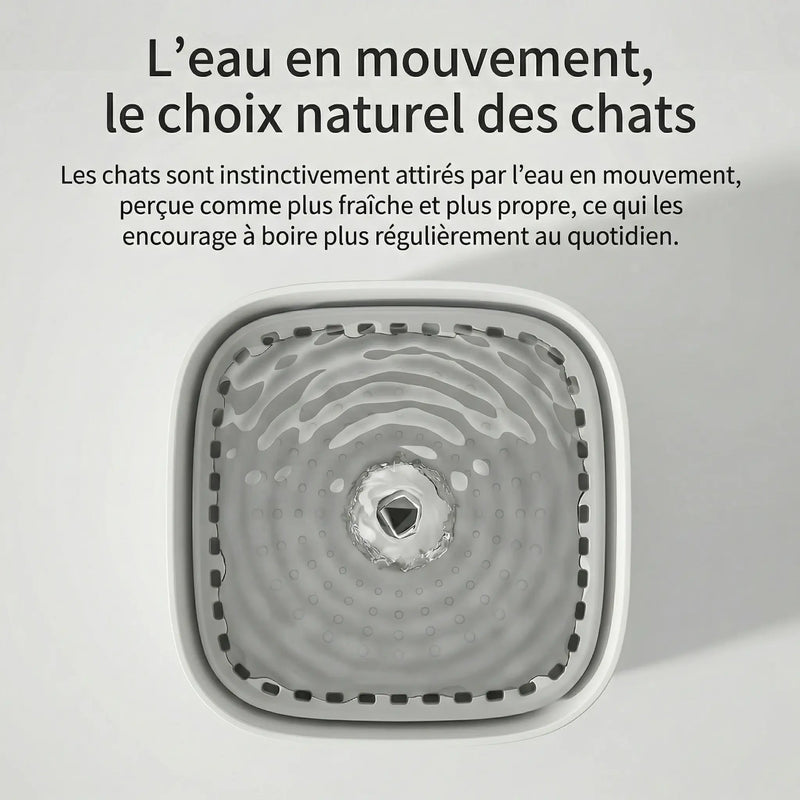 Fontaine à Eau pour Chat 3L – Filtration Continue, Ultra Silencieuse, USB